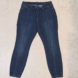 Judy Blue dark wash skinny jeans